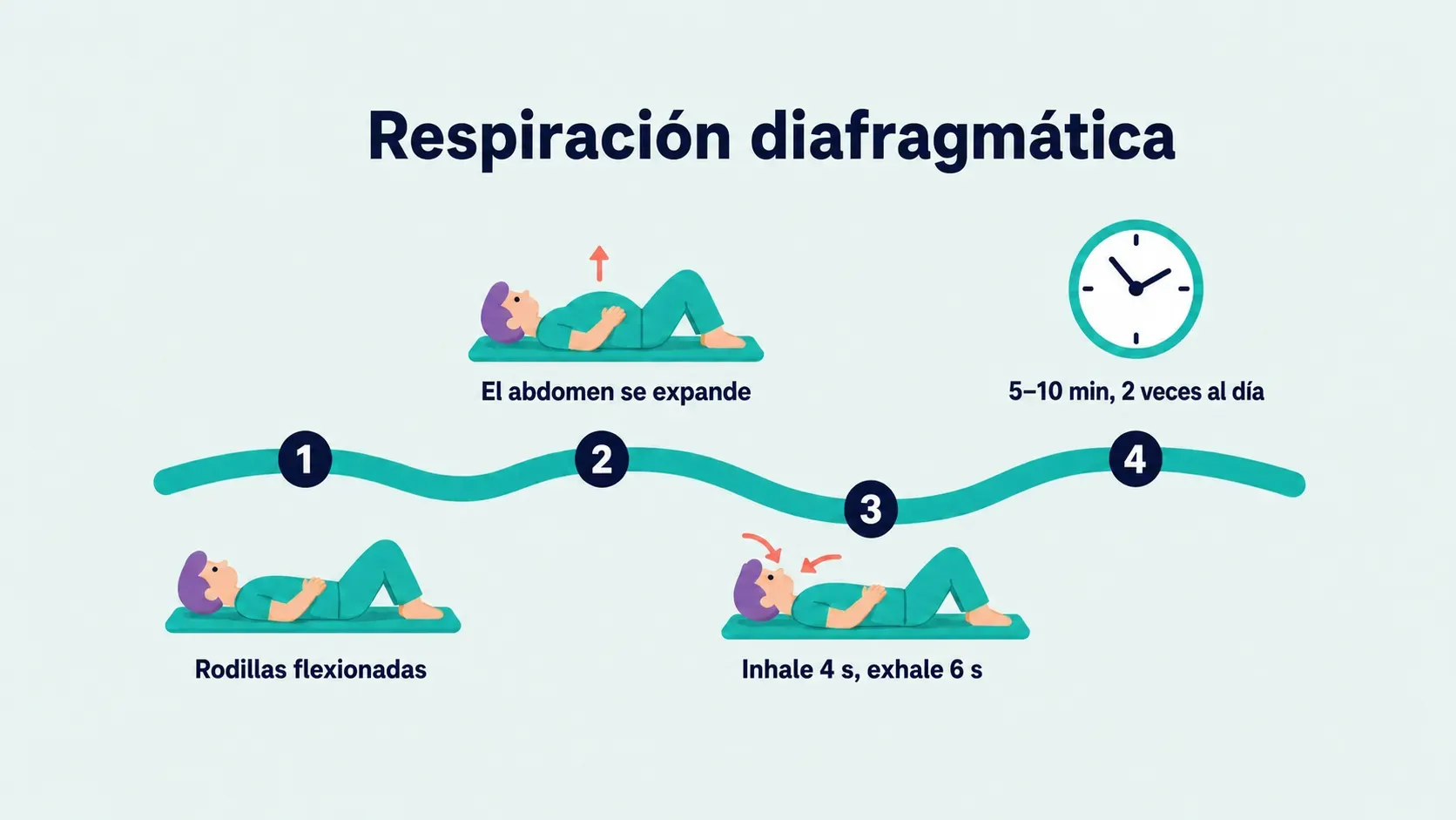 Secuencia de cuatro pasos de respiración diafragmática: acuéstese boca arriba con las rodillas flexionadas y las manos sobre el pecho y el abdomen, deje que el abdomen suba, inhale 4 segundos y exhale 6, practique de 5 a 10 minutos dos veces al día